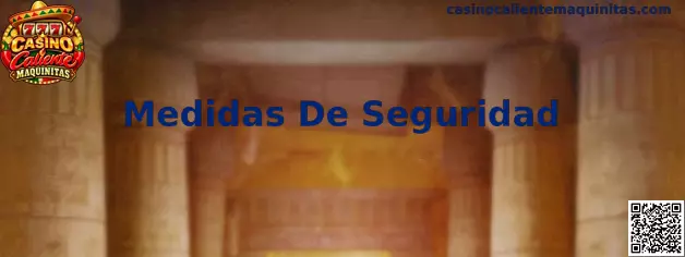 Medidas De Seguridad en plataformas de maquinitas