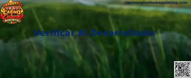 Guía visual para verificar al desarrollador de una aplicación relacionada con Casino Caliente Maquinitas