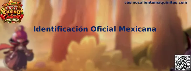 Información sobre Identificación Oficial Mexicana para procesos de registro y verificación
